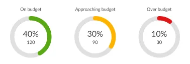 Reports - budgets
