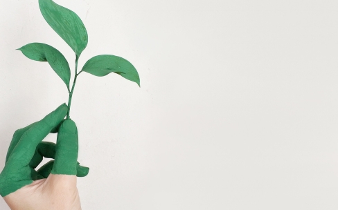 Green fingers holding a plant