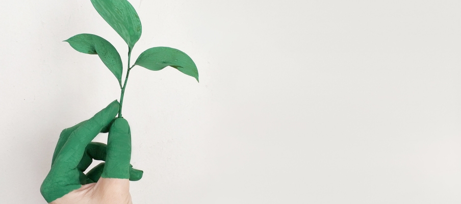 Green fingers holding a plant